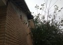 Fasad-chernigov-1